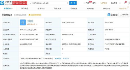 贪玩蓝月运营商布局AI领域，投资新公司聚焦人工智能软件开发